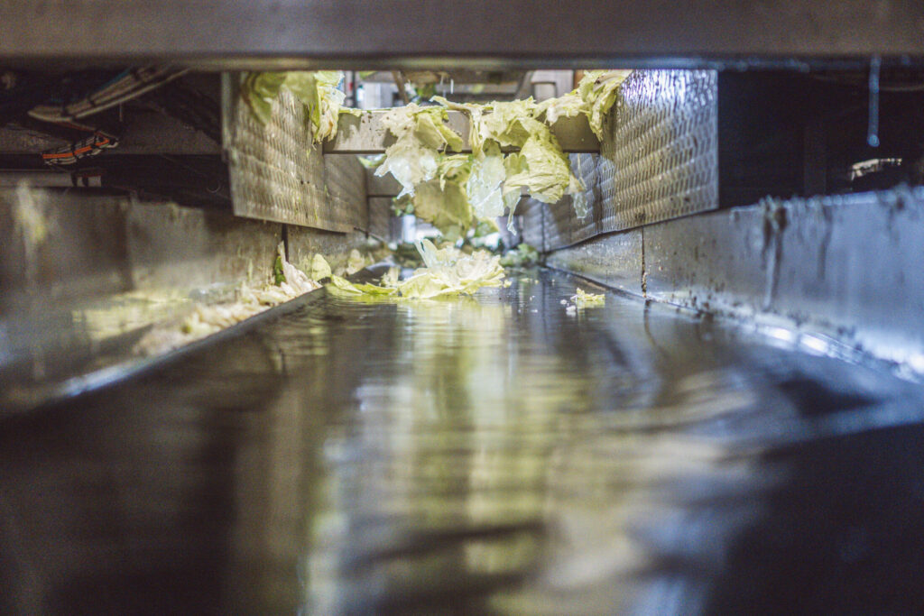 2024-AVCA-FabricationChoucrouteAlsaceIGP(26)