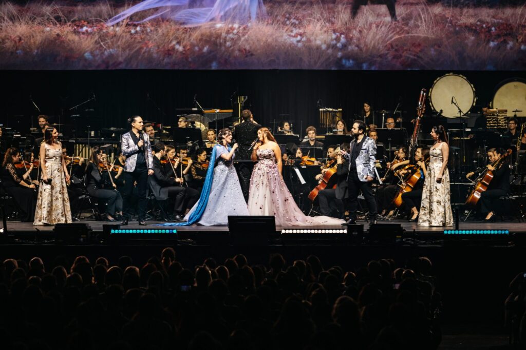 DISNEY CONCERT - TLSE + BDX-667
