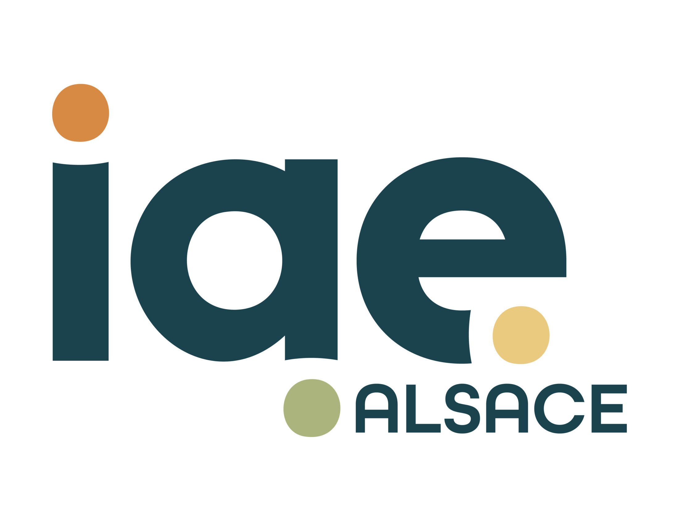 IAE_ALSACE_LOGO_QUADRI