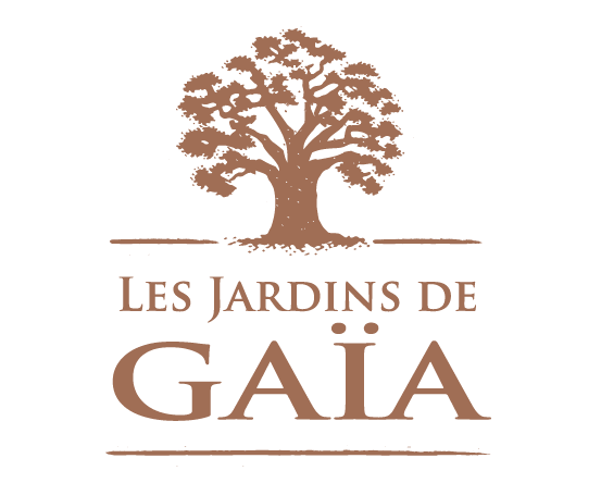 LOGO-JDG