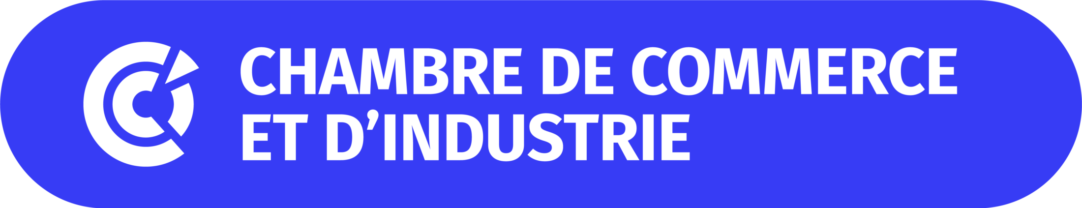 LOGO CCI - rvb - Bleu-01