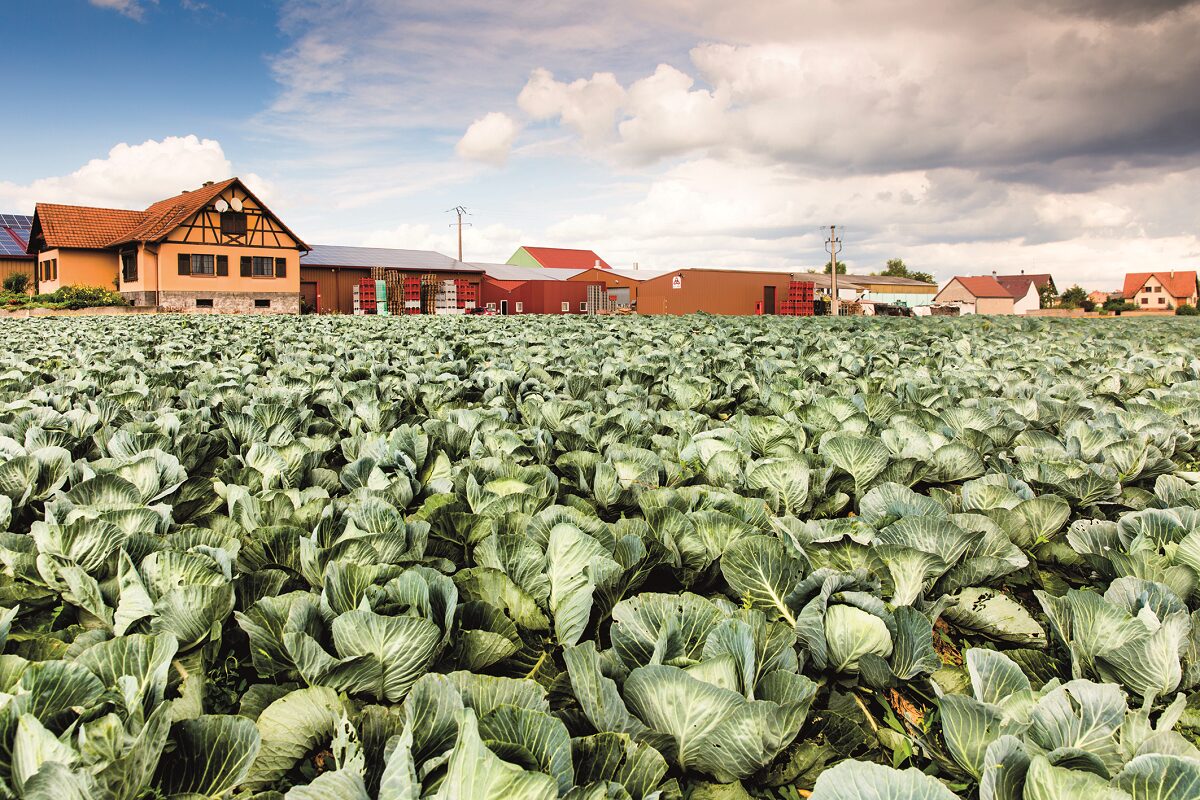 La choucrouterie Le Pic - Maison alsacienne de gastronomie