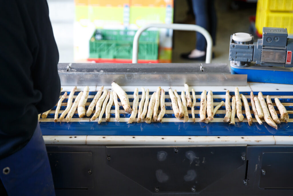 La ferme Clarisse_72dpi_009