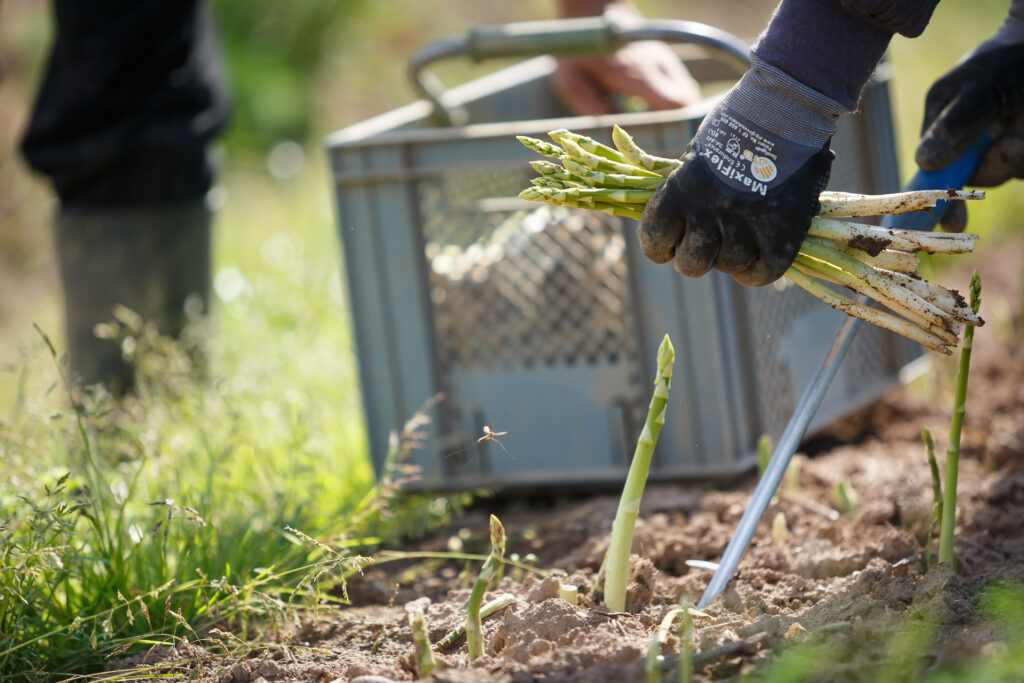 La ferme Clarisse_72dpi_145
