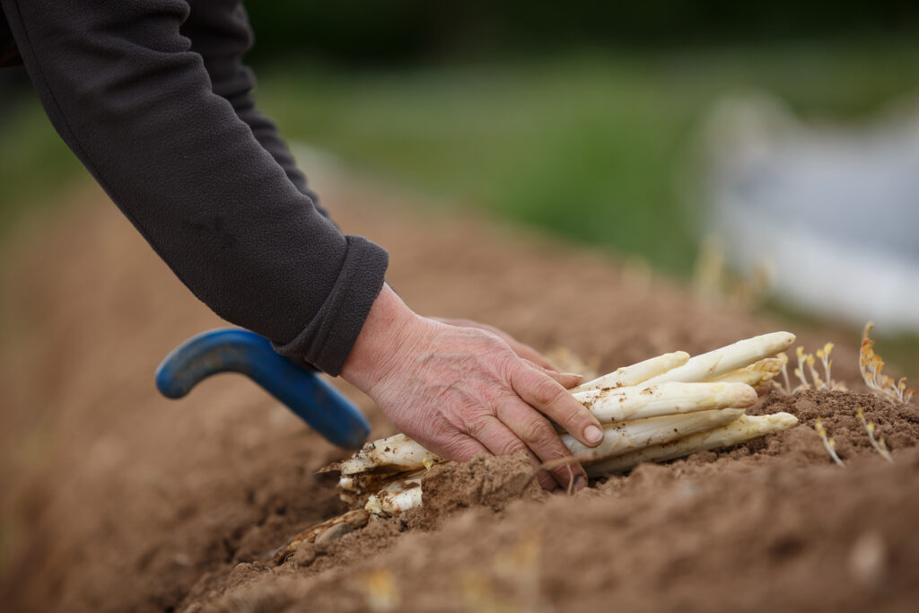 La ferme Clarisse_72dpi_211