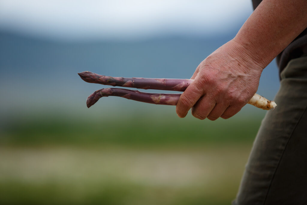 La ferme Clarisse_72dpi_228