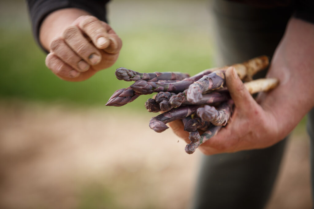 La ferme Clarisse_72dpi_232