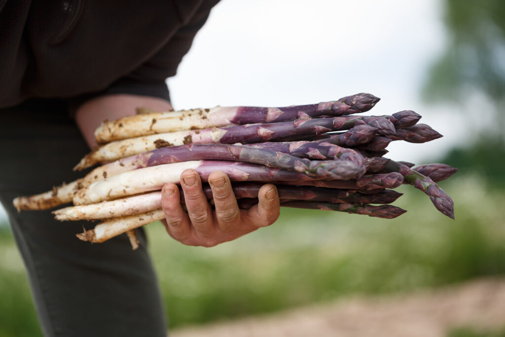 La ferme Clarisse_72dpi_236