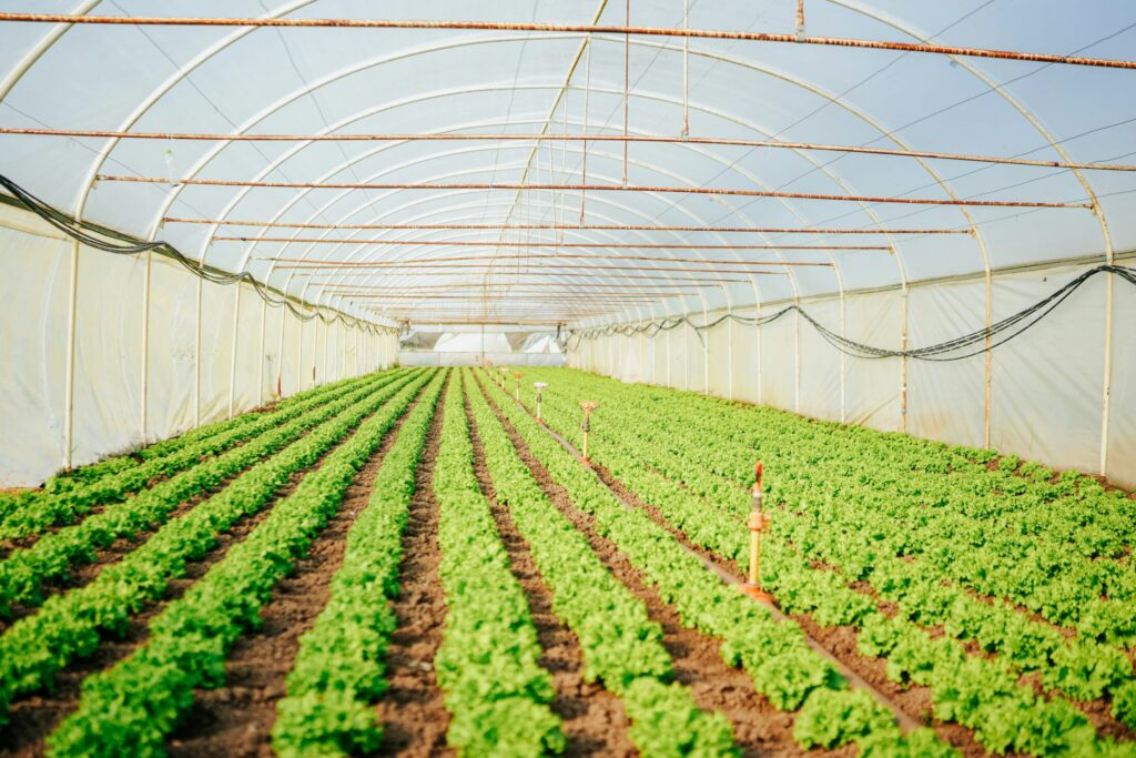 ahmed-9Ku7-OuiybI-unsplash